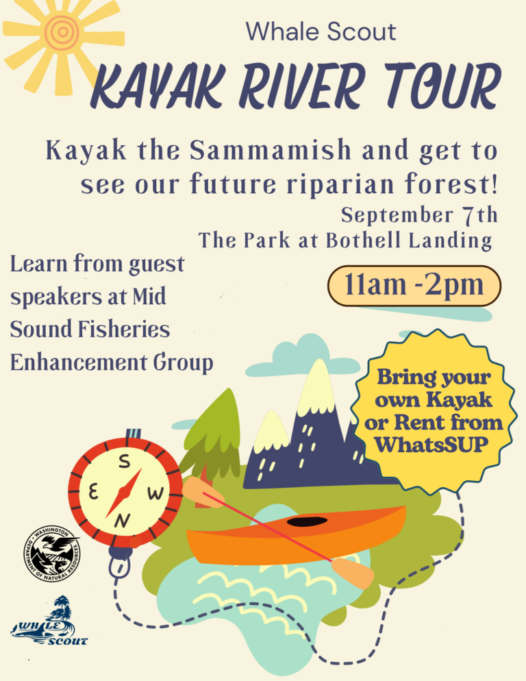 Kayak River Tour With Mid Sound Fisheries Enhancement Group Whale Scout